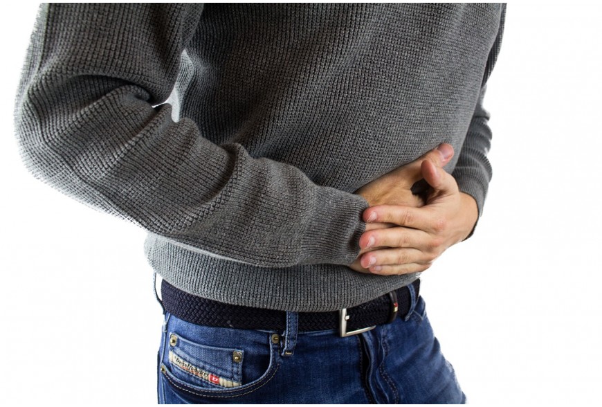 Il microbiota: caratteristiche, proprietà’ e indicazioni terapeutiche