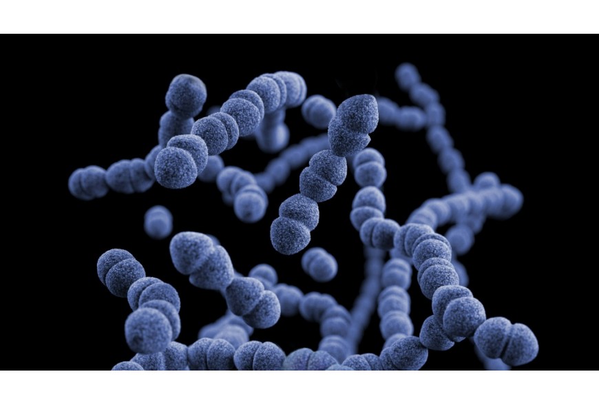 Infezione da streptococco